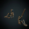 Skeleton Dead 02 (Brite Minis)