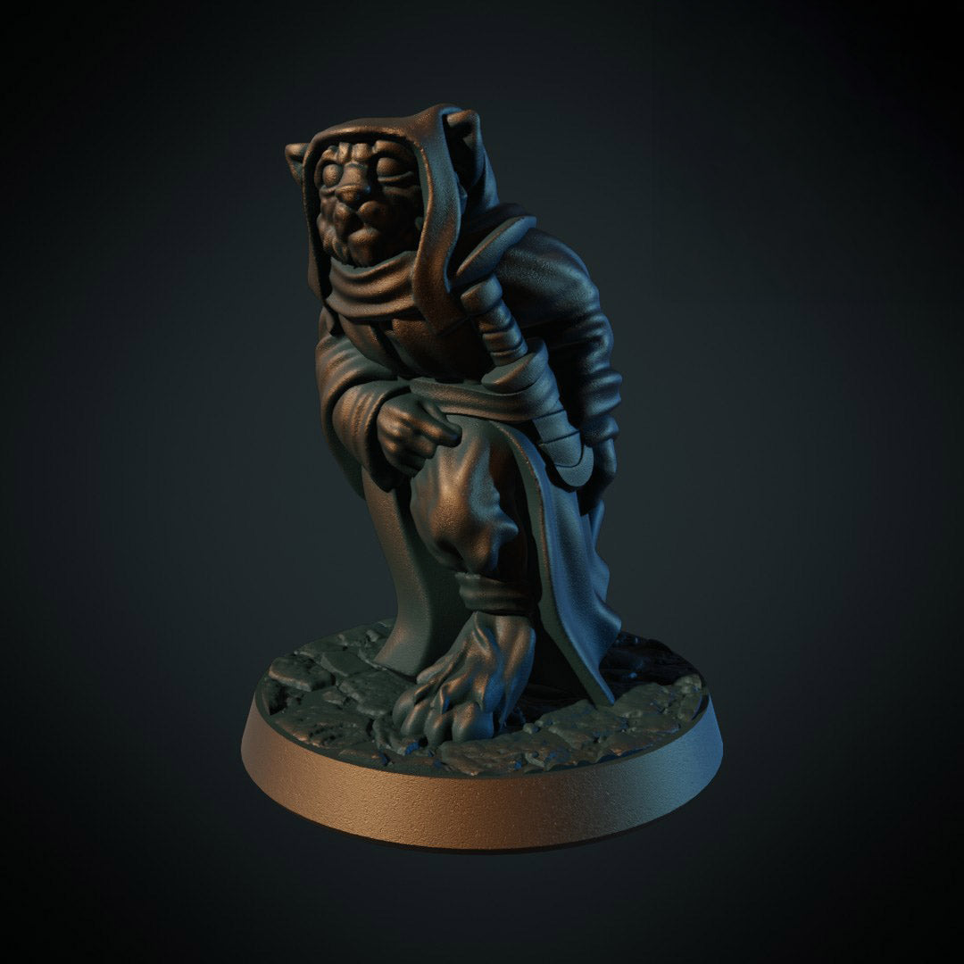 Catfolk Robe (Brite Minis)