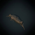 Cocoon 01 (Brite Minis)